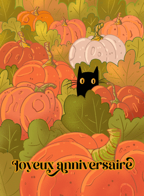 Citrouilles et chat noir pour un anniversaire